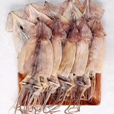 동광수산 마른오징어(중)10미(600g내외), 1개