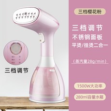 윤혜진스팀다리미