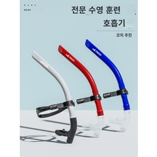 돌고래수영코치