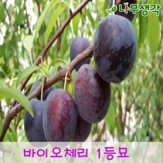 bda5caef9a69d9260dd8e7095b8b7fd5de7432fd28f364cc83388f24595f.JPG