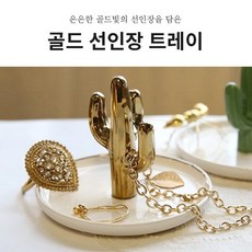 선인장트레이