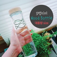 //상품명