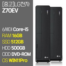 LG 슬림 데스크탑 PC Z70EV 6세대 Core-i5 RAM 8GB ~ 16GB SSD 128GB ~ 1TB 탑재 윈도우11 설치 중고 컴퓨터 본체, 05.Core-i5/16GB/512GB+500GB