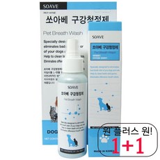 이누스바스잉글리쉬