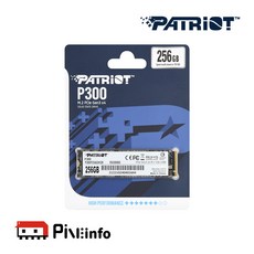 패트리어트 P300 256GB M.2 NVMe 3D TLC 파인인포
