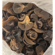 [산지직송/무농약] 국내산 친환경 무농약 설악산 생목이버섯 500g 1kg 목이버섯 국내산목이버섯 버섯 생목이버섯국산 국산목이버섯 생목이버섯 모기버섯국산 목이버섯국산, 1개