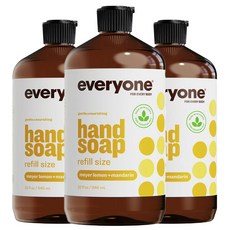 에브리케어핸드솝리필