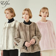 진도엘페휘메일