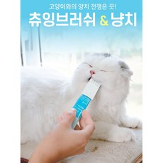 멍랩 츄잉브러쉬 1P 고양이칫솔 양치 이빨관리 + 네츄럴코어 천연치킨미니40g 1개
