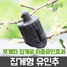 사과나무 유인추 대자 200개 - 사과나무