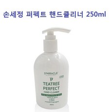 손세정제 퍼펙트 핸드 클리너 250ml 위생 청결 손씻기, 손세정제 250ml