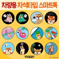 시바견자석