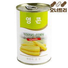 영콘