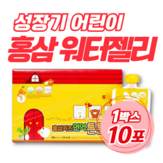 성장기 어린이 면역력영양제 6년근 홍삼 워터젤리 진세노사이드 RG1 RB1 RG3 Red ginseng 짜먹는 추천 브랜드 제품 소아 아동 10살 10세 11살 11세 12살, 500g, 1개
