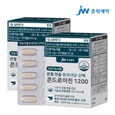 JW중외제약 관절 연골 뮤코다당 단백 콘드로이친 1200, 2개, 60캡슐, 60정