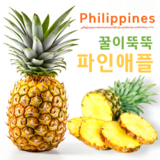 고군명가 파인애플 골드 대과 6.8kg 4개 내외, 1박스, 6800g