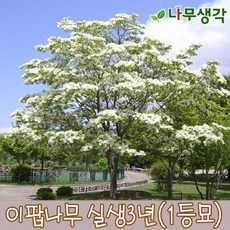 1aedca4f4523a9c1e14b868f30c0f40a318e55927cc800f2e920473c3bbf.jpg