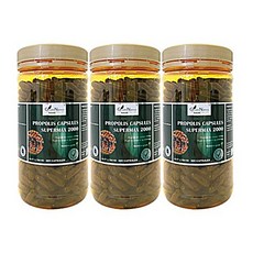 프론폴리스엑스