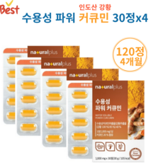 만성염증 영양제 수용성 파워 커큐민 인도산 강황추출물 30회분4세트, 30정, 4개