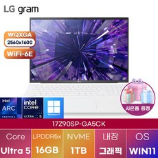 LG 그램 프로17 17Z90SP-GA5CK 윈도우11 신제품 대학생 인강용 업무용 사무용 포토샵 영상편집 고성능 가성비 노트북, WIN11 Home, 16GB, 1TB, 에센스 화이트