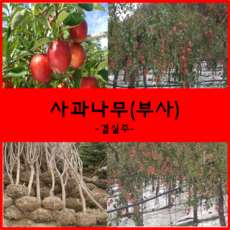 ae7853e8635700d23ff9b00263810d63527aa74a1d0640d31b4956664b24.png