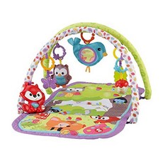 Fisher-Price 3-in-1 뮤지컬 활동 체육관 우드랜드, One Color_One Size, One Color_One Size, 상세 설명 참조0