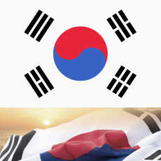 전시용태극기