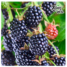 19e74b98382b25ae2a21c5ae64b811bc74177a52eeb1cb8eb960ce318c5d.png