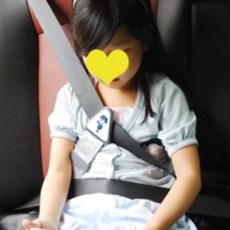 안전벨트보조가드