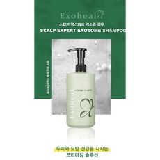 엑소힐 스칼프 엑스퍼트 두피 케어 엑소좀 샴푸 500ml, 1개