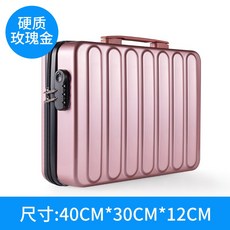 통장정리함골드