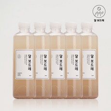 달보드레 전통식혜 무첨가물 무보존료 100% 수제 식혜 500ml X 5개