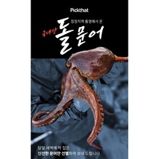 산지직송 당일조업 통영 자연산 생물 활 돌문어1kg, 1개, 1kg(1-3미)