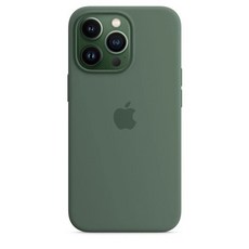 애플 아이폰 12 13 프로 케이스 맥스 미니 맥세이프 액체 실리콘 마그네틱 휴대폰 무선 충전 풀 프로텍트 커버, For iPhone 13 Pro, C Eucalyptus,