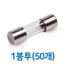 유리관휴즈 10A 38mm 9mm 1봉50개 대형, 50개