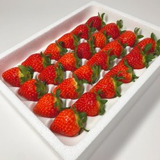 [산지직송] 오늘 딴 고당도 프리미엄 논산 설향 딸기, 1세트, 3.설향딸기(특) 20-24~30구 750g 랜덤발송
