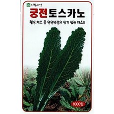 [잎류] 궁전 토스카노(잎브로콜리) 씨앗 (1000립)