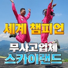 단양패러글라이딩 스카이랜드 체험권 1장 익스트림 코스