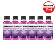 결송입안