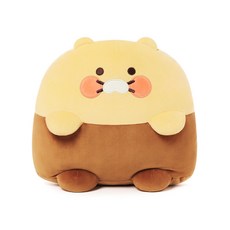춘식이담요 TOP01