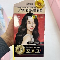 리엔 흑모비책 효윤고 크림 염색 와인갈색 1045234, 1개