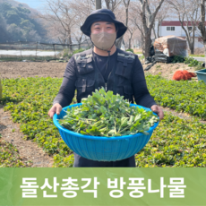 추천7방풍나물무침