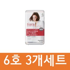 시세이도 티아라 염색약 40g 3개세트 3호 4호 5호 6호 크림 헤어컬러 새치염색약 회색 트리트먼트 칼라린스 자연갈색, 3개