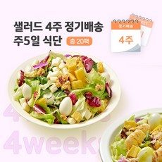  샐러드 4주 정기배송 주5일 (닭가슴살+비엔나+치즈+불고기+옥수수톡) 240g 20팩  상품 이미지