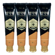 죽염 명약원 골든 프로폴리스 치약 120g, 4개