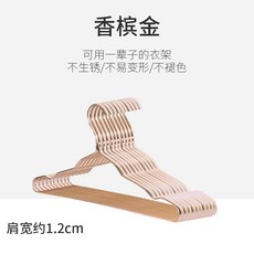 스테인레스 스틸 옷걸이 바지걸이, 1.2cm(샴페인)