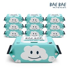 BAEBAE(베베) 아기물티슈 비데용 55gsm 캡형 30매 10팩, 10개, 단품