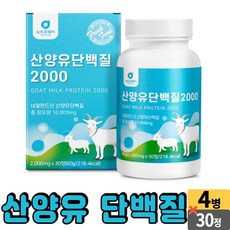 네덜란드분유