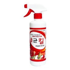 곰팡이균제거젯소