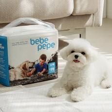  베베페페 국내생산 고흡수 배변패드 대형, 배변패드 대형 80매 4팩 